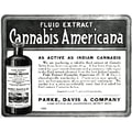 link to cannabis page